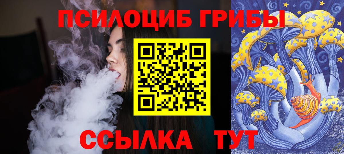 Галлюциногенные грибы мицелий  Вход с VPN  Анжеро-Судженск 